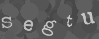 Please type the characters of this captcha image in the input box